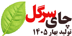 چای سرگل بهاره 1405