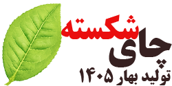 چای شکسته بهاره 1405